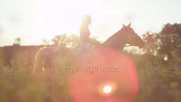 慢动作︰ 美丽的女孩骑白马在盛开的粉红色场日落 — 图库视频影像