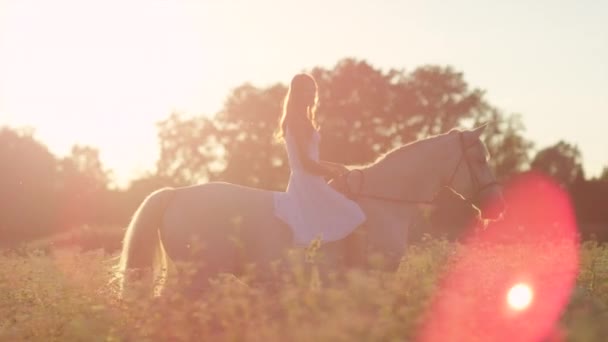 Slowmotion: Vacker flicka rider vit häst i blommande rosa fält vid soluppgången — Stockvideo