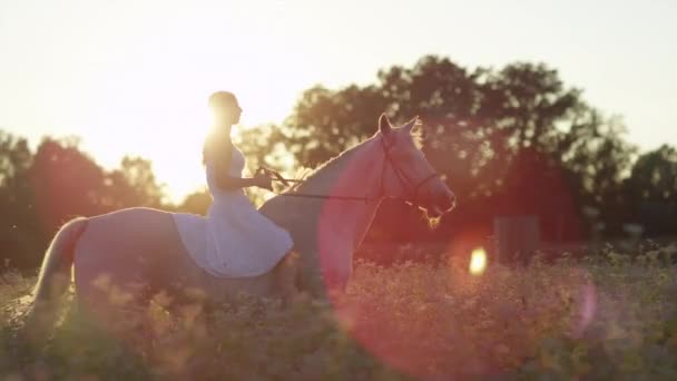 日の出ピンク開花フィールドで馬に乗って白いドレスのクローズ アップの女の子 — ストック動画