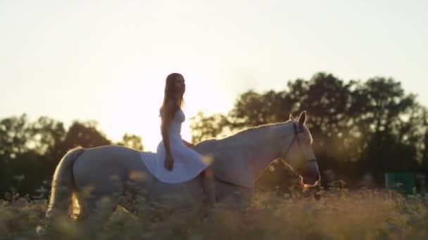 FECHAR UP: Menina bonita cavalgando cavalo sem rédeas em campo florescente ao pôr do sol — Vídeo de Stock