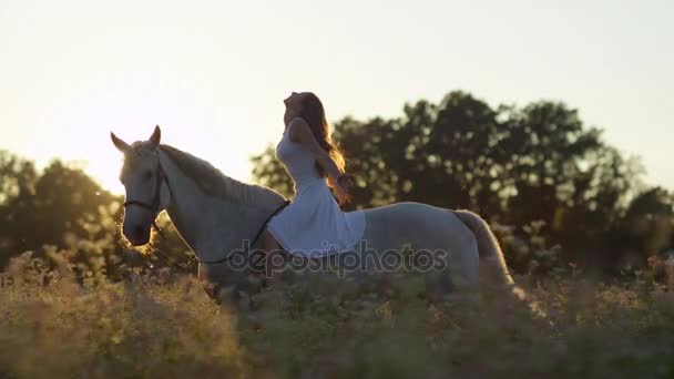 FERMER : Jolie fille à cheval sans rênes dans le champ en fleurs au lever du soleil — Video