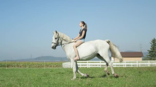 Movimiento lento: Mujer joven corriendo a pelo con su hermoso caballo blanco — Vídeo de stock