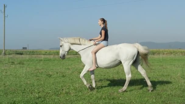 SLOW MOTION: Menina no belo cavalo branco bareback equitação no campo de grama — Vídeo de Stock