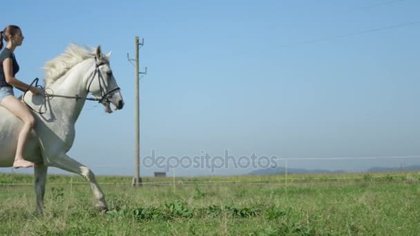 慢动作︰ 漂亮的女孩与她美丽的白色马无鞍慢跑 — 图库视频影像