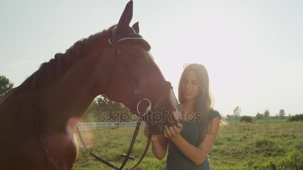 Movimiento lento: Retrato de chica alegre acariciando y acariciando su gran caballo marrón — Vídeo de stock