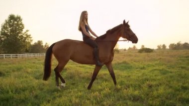Ağır çekim: Güzel neşeli kız çok kahverengi at binme eyersiz