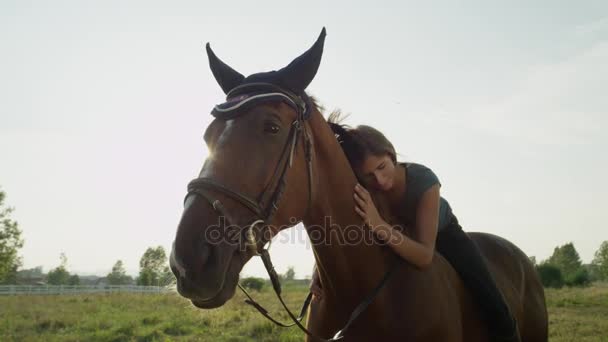 Close-up: Schattige jonge Kaukasische brunette meisje opleggen van paard en strelen hem — Stockvideo