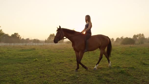 SLOW MOTION: Bella ragazza bionda sorridente senza sella cavalcando possente cavallo marrone — Video Stock