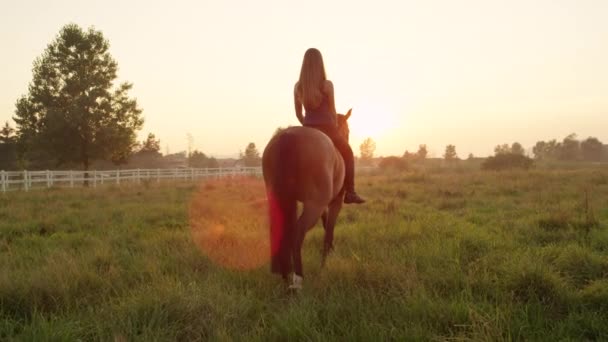 SLOW MOTION: Bella ragazza bionda sorridente senza sella che cavalca verso il tramonto — Video Stock