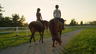 Ağır çekim: güçlü kahverengi atları batımına iki arkadaş binicilik