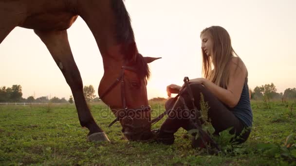 Närbild: Glad flicka umgås med häst betande på betesmark fält — Stockvideo