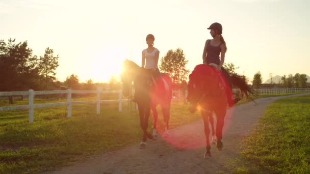 Двоє усміхнених друзів верхи на коричневих конях на золотому заході сонця — стокове відео