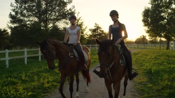 Movimiento lento: Dos felices amigos a caballo montar caballos marrones en el atardecer de oro — Vídeo de stock