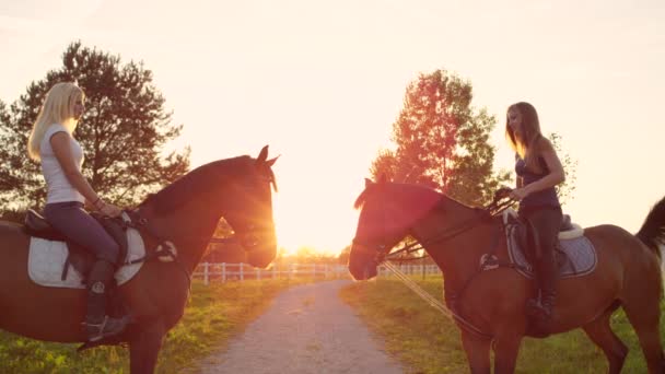Movimiento lento: Dos caballos increíbles con jinetes uno frente al otro al atardecer dorado — Vídeo de stock