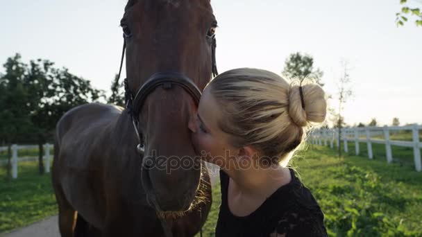 茶色の馬と笑みを浮かべて少女かわいがることおよび彼をキスのクローズ アップの肖像画 — ストック動画