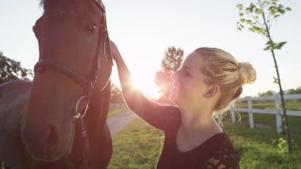 CLOSE UP: Portrait of brown horse and cheerful girl petting and kissing him — Stock Video