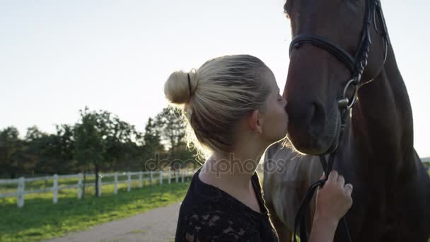 Närbild: Porträtt av vackra bruna häst och flicka petting och kysser honom — Stockvideo