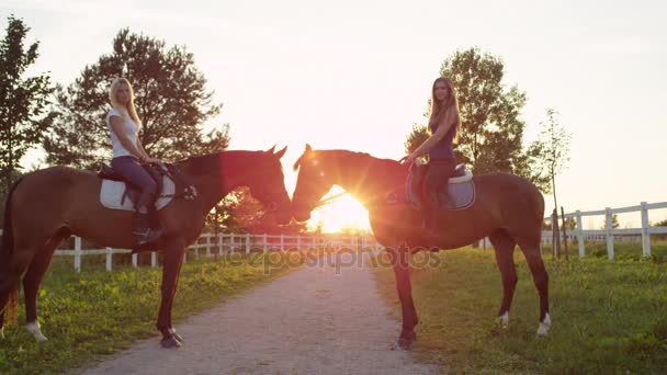 MOCIÓN LENTA: Dos caballos con jinetes femeninos bonitos uno frente al otro al atardecer — Vídeo de stock