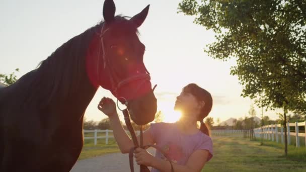 Közelről: Aranyos vidám kislány alsószoknya szép nagy barna ló naplementekor — Stock videók