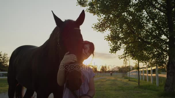 CLOSE UP: мила усміхнена маленька дівчинка обіймає красивого великого коричневого коня на заході сонця — стокове відео
