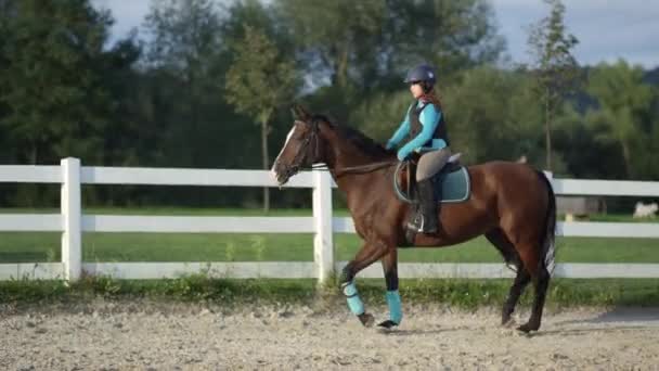 Dieses Kleine Mädchen Kann Reiten Dieses Kleine Mädchen Kann Reiten