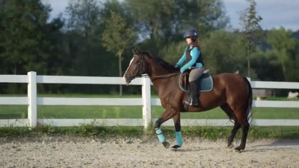 Slowmotion: Glada lilla flicka ridning brun häst på solig dag — Stockvideo