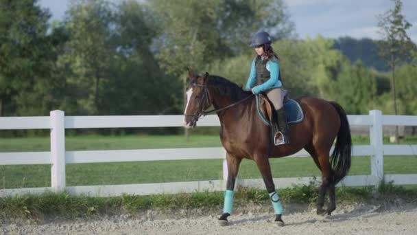 スローモーション: 魅力的な幸せな小さな女の子乗馬大きな強い茶色の馬 — ストック動画