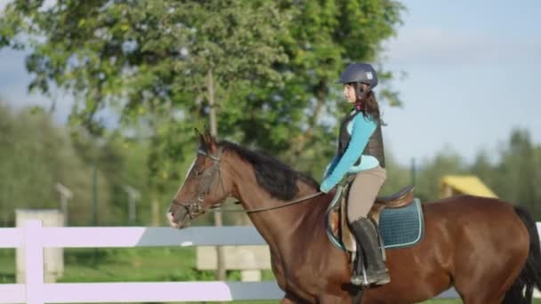 MOCIÓN LENTA: Valiente niña feliz montar a caballo caballo grande fuerte caballo marrón — Vídeos de Stock