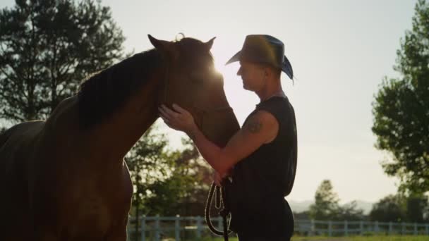 LOW MOTION: Cavaleiro sênior que acaricia belo cavalo marrom escuro forte no dia ensolarado — Vídeo de Stock