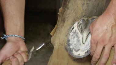 Yakın: aşırı toynak doku bıçakla temizlik deneyimli nalbant