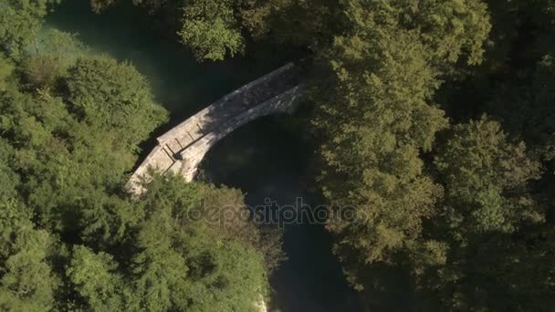 AERIAL: Pequeño puente de piedra increíble sobre el río verde en exuberante bosque cubierto — Vídeos de Stock