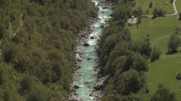 Antenn: Vackra emerald upprätthålla floden löper genom lummiga vild skog — Stockvideo
