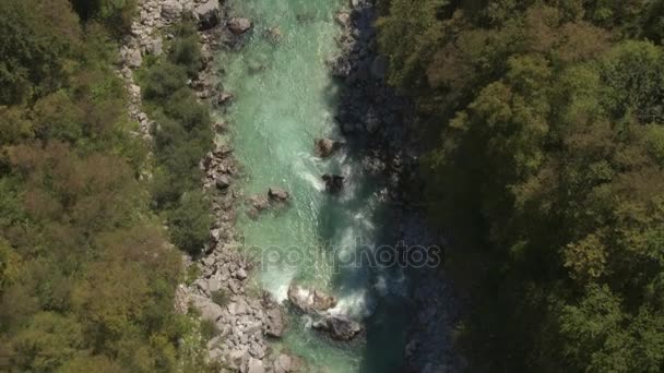 AERIAL: Bela esmeralda mantém o rio Soca correndo pela exuberante floresta — Vídeo de Stock