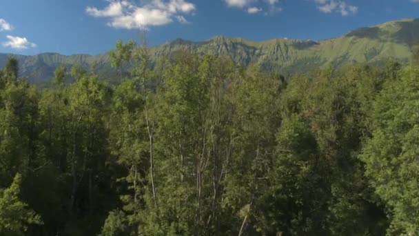 Antenn: Flyger över grusväg i vilda skogen med klippiga bergen i avstånd — Stockvideo