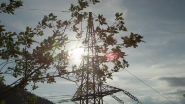 Ağır çekim: Uzun boylu yüksek gerilim çelik iletim kulesi yemyeşil ağaç dalı arkasında