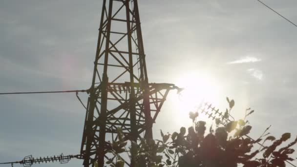 CLOSE UP: Steel transmission tower and high voltage power lines behind the tree — Stock Video