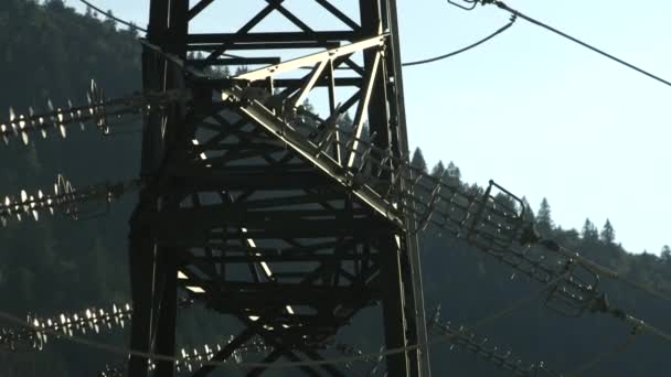 FECHAR UP: Torre de subtransmissão de aço e linhas de energia com floresta no fundo — Vídeo de Stock