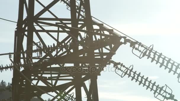 CERRAR: Torre de transmisión de acero y líneas eléctricas detrás de frondoso dosel de árbol verde — Vídeos de Stock