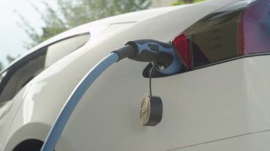 Yakın: soketine ve bahçede güneşli günde evde şarj Tesla özerk araba