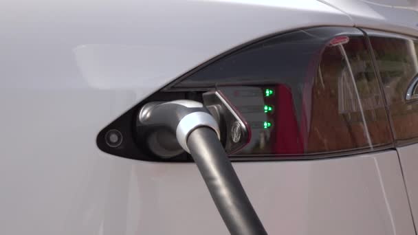 CLOSE UP: Tesla eco friendly electric car charging at supercharger on sunny day — Stock Video