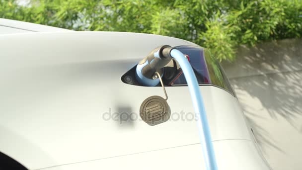 Κοντινό πλάνο: Tesla ηλεκτρικό αυτοκίνητο φόρτισης για πρίζα στο σπίτι αυλή ηλιόλουστη ημέρα — Αρχείο Βίντεο