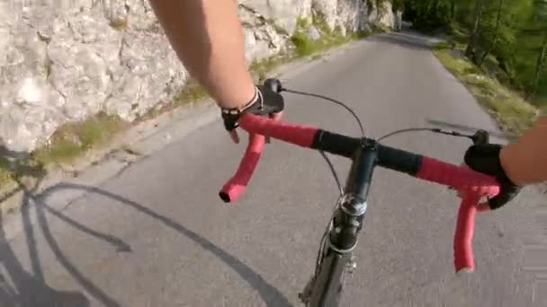 Превышение скорости на велосипеде по пустой асфальтовой дороге, проходящей через лес — стоковое видео
