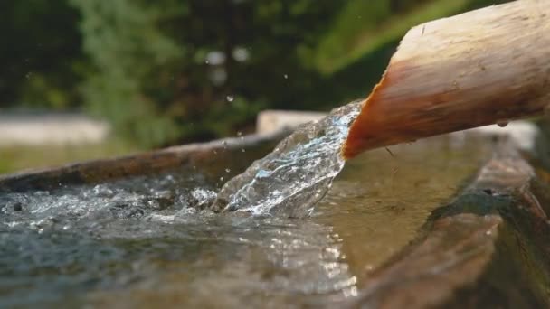 MOTION LENT : L'eau cristalline du ruisseau coule à travers le tuyau en bois dans le bassin — Video