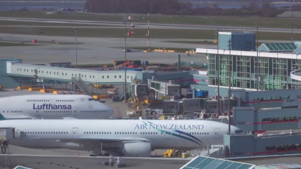 CLOSE UP: Big Lufthansa airplane taxis towards the airport to start boarding. — 비디오