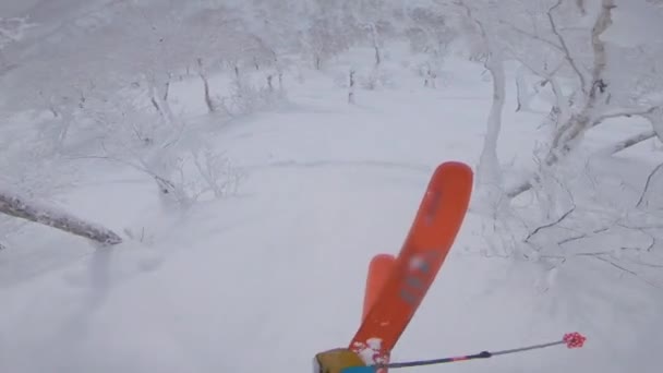 Pov: Springen van een natuurlijke kicker tijdens het skiën in het ongerepte besneeuwde bos. — Stockvideo