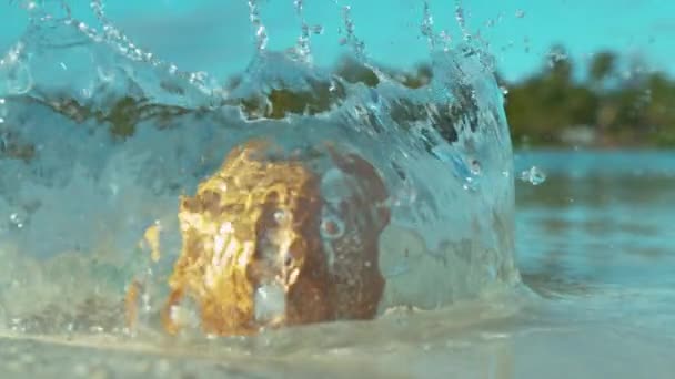 MACRO: Salpicaduras de agua cristalina alrededor del coco marrón después de aterrizar en la playa . — Vídeos de Stock