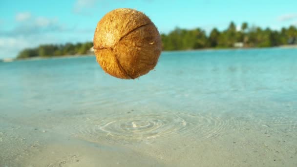 Slow Motion: Harige kokosnoot valt van de boom en landt in het glazige water. — Stockvideo