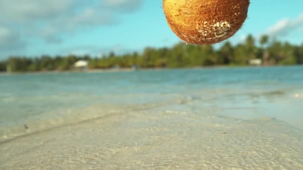 SLOW MOTION: Acqua limpida dell'oceano spruzzando ovunque dopo che la noce di cocco cade dall'albero — Video Stock