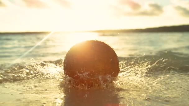 Kokosnöt Faller Ner Den Vita Sandstranden Som Tvättas Glasaktigt Havsvatten — Stockvideo