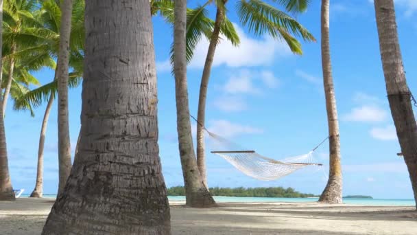 Hängematte Leeren Tropischen Strand Schaukelt Den Palmen — Stockvideo